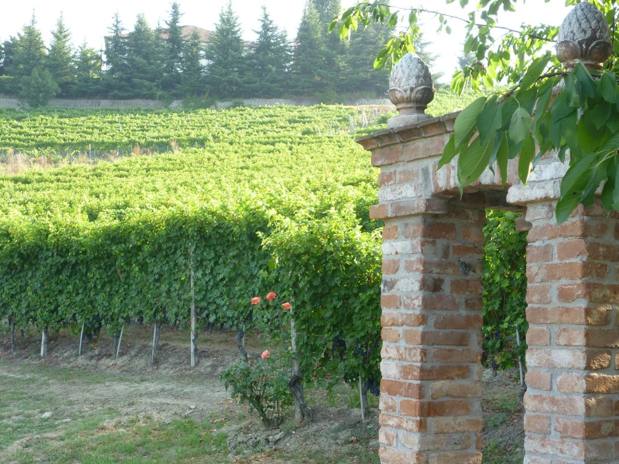 Villa La Favorita Alba  Ngoại thất bức ảnh